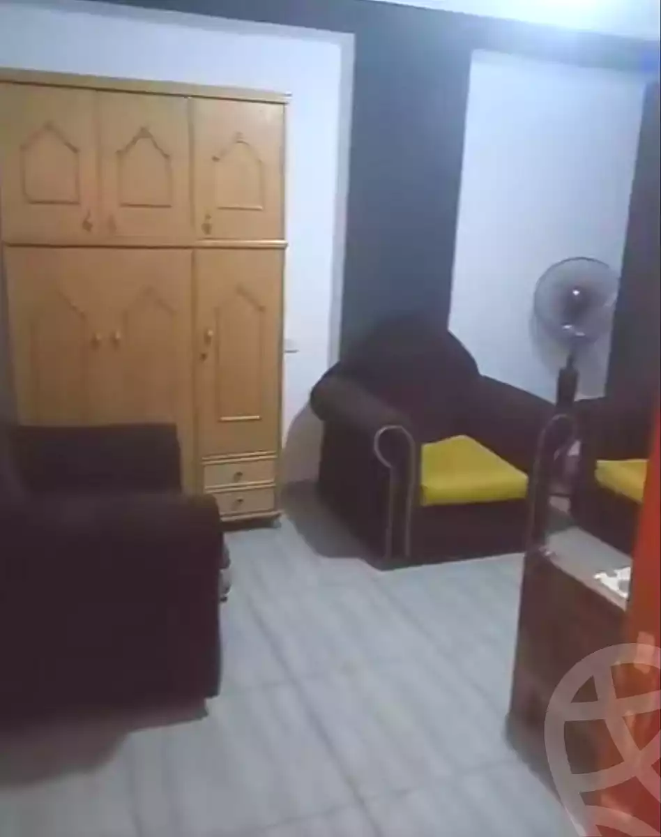https://aqarmap.com.eg/en/listing/6970330-for-sale-cairo-ain-shams-mnshy-lthryr