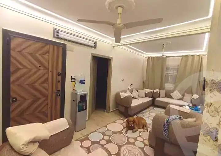 https://aqarmap.com.eg/en/listing/6972836-for-sale-cairo-el-haram-shareaa-khatem-el-morsalen