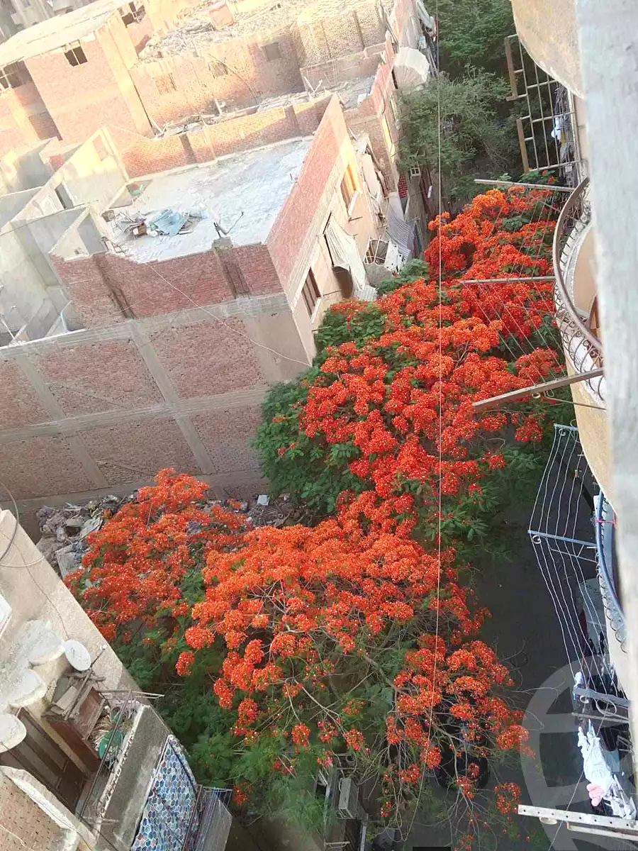 https://aqarmap.com.eg/en/listing/6973888-for-sale-cairo-el-omraneya-l-mrny-lgrby