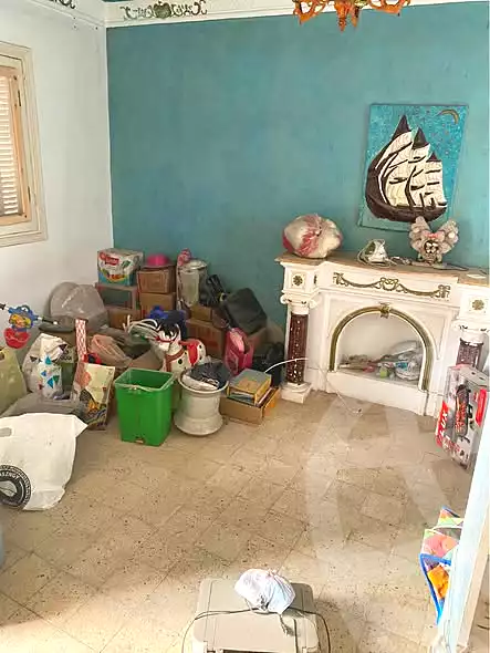 https://aqarmap.com.eg/en/listing/6975035-for-sale-alexandria-ganaklis