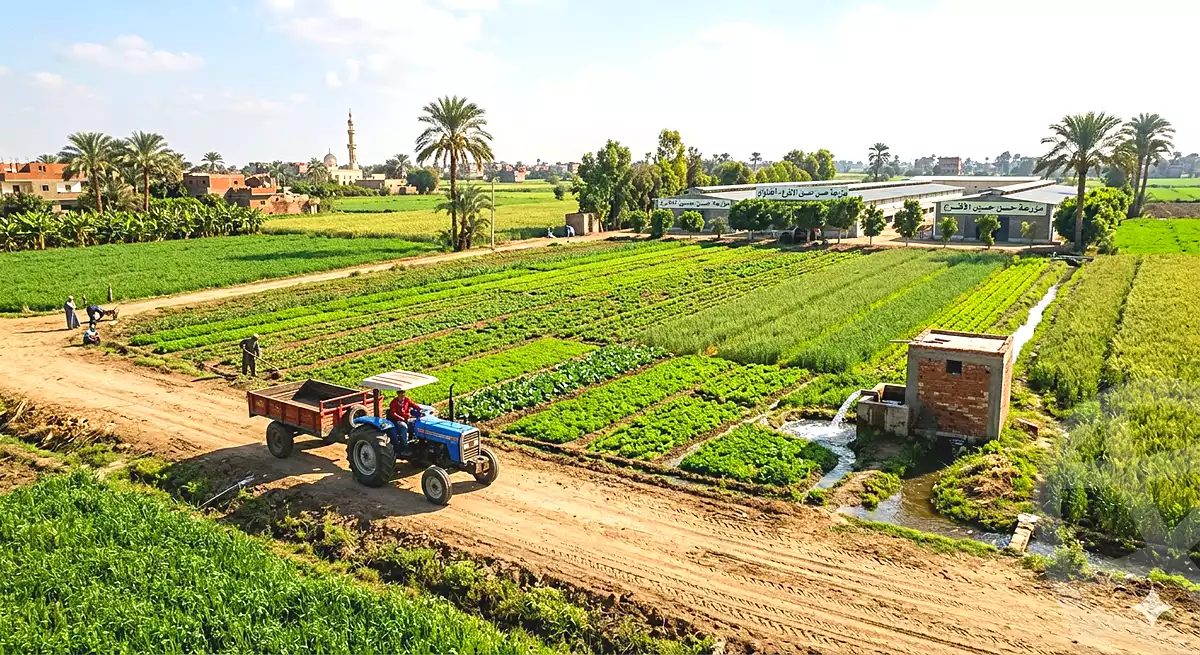 https://aqarmap.com.eg/en/listing/6975919-for-sale-gharbia-tanta-akhnaway