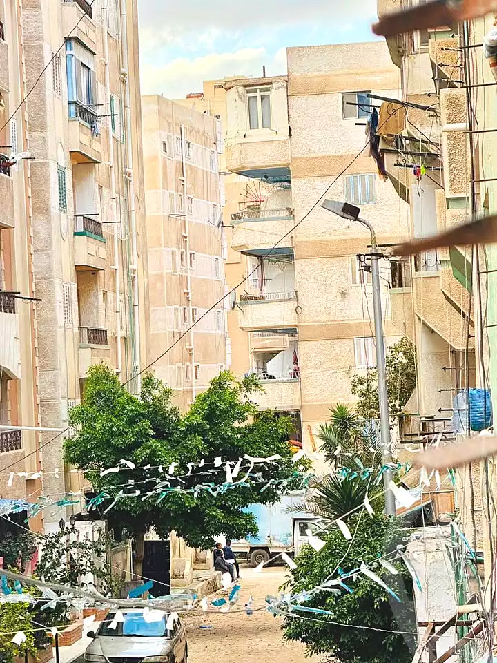 https://aqarmap.com.eg/en/listing/6976248-for-sale-alexandria-al-agamy-shataa-el-nakheel