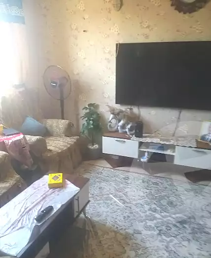 https://aqarmap.com.eg/ar/listing/6976516-for-sale-cairo-faisal-hassan-mohamed-st
