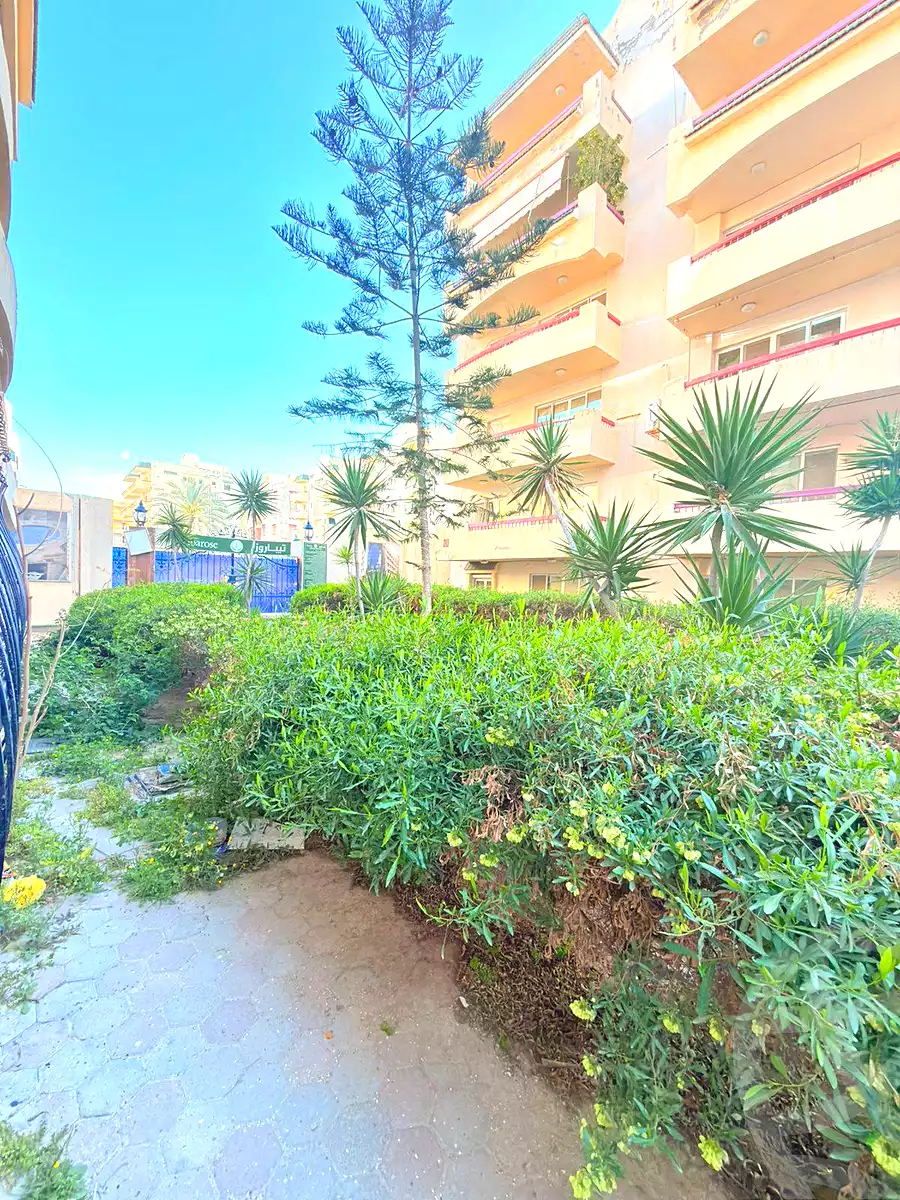 https://aqarmap.com.eg/en/listing/6977254-for-sale-alexandria-al-agamy-shataa-el-nakheel