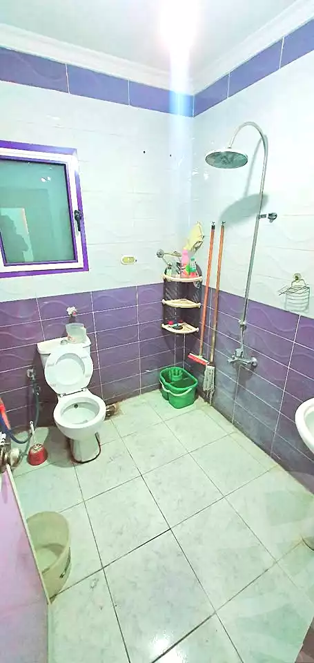 https://aqarmap.com.eg/en/listing/6977772-for-sale-alexandria-sydy-bshr-shr-mlk-hfny