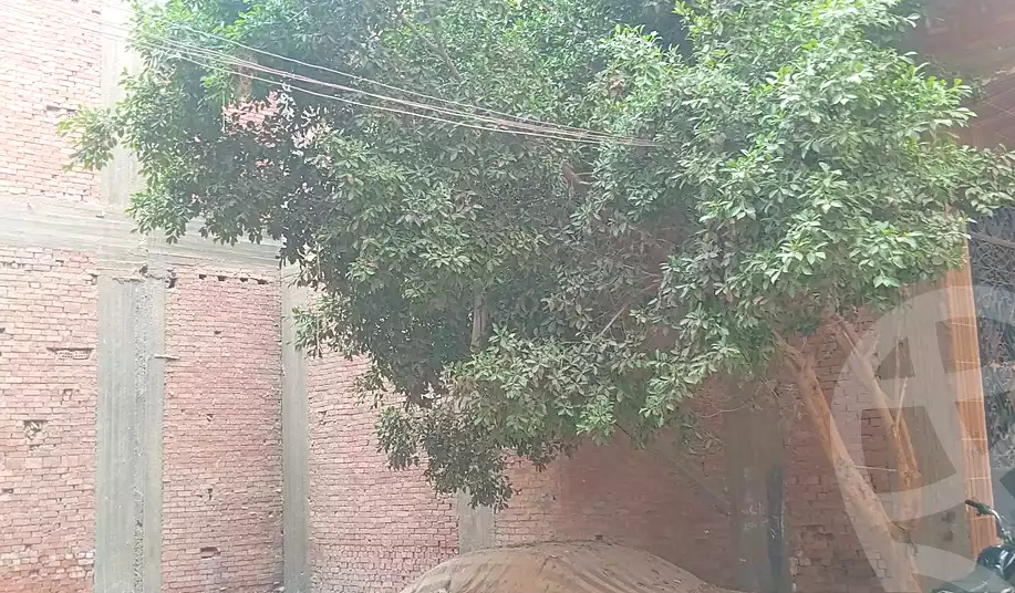 https://aqarmap.com.eg/ar/listing/6981360-for-sale-cairo-ljyz-wsym-el-barajil