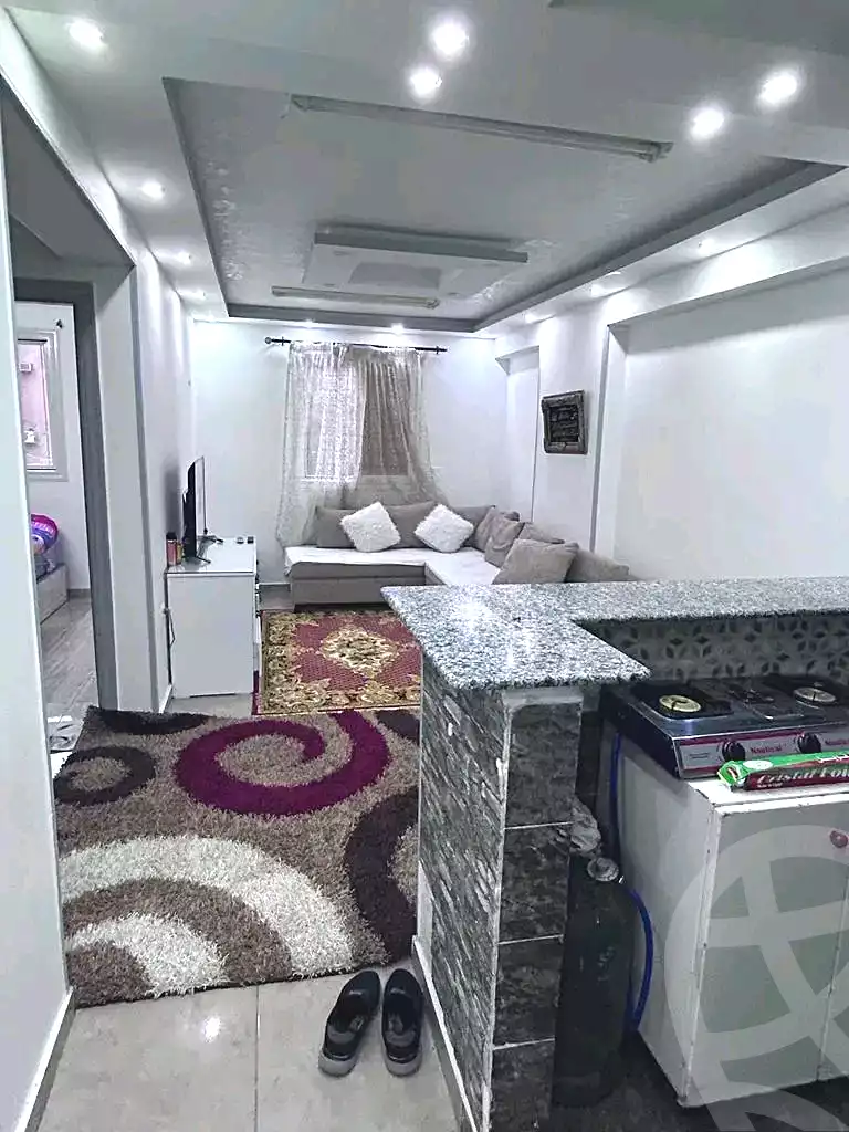 https://aqarmap.com.eg/en/listing/6981608-for-sale-cairo-ain-shams-mnshy-lthryr