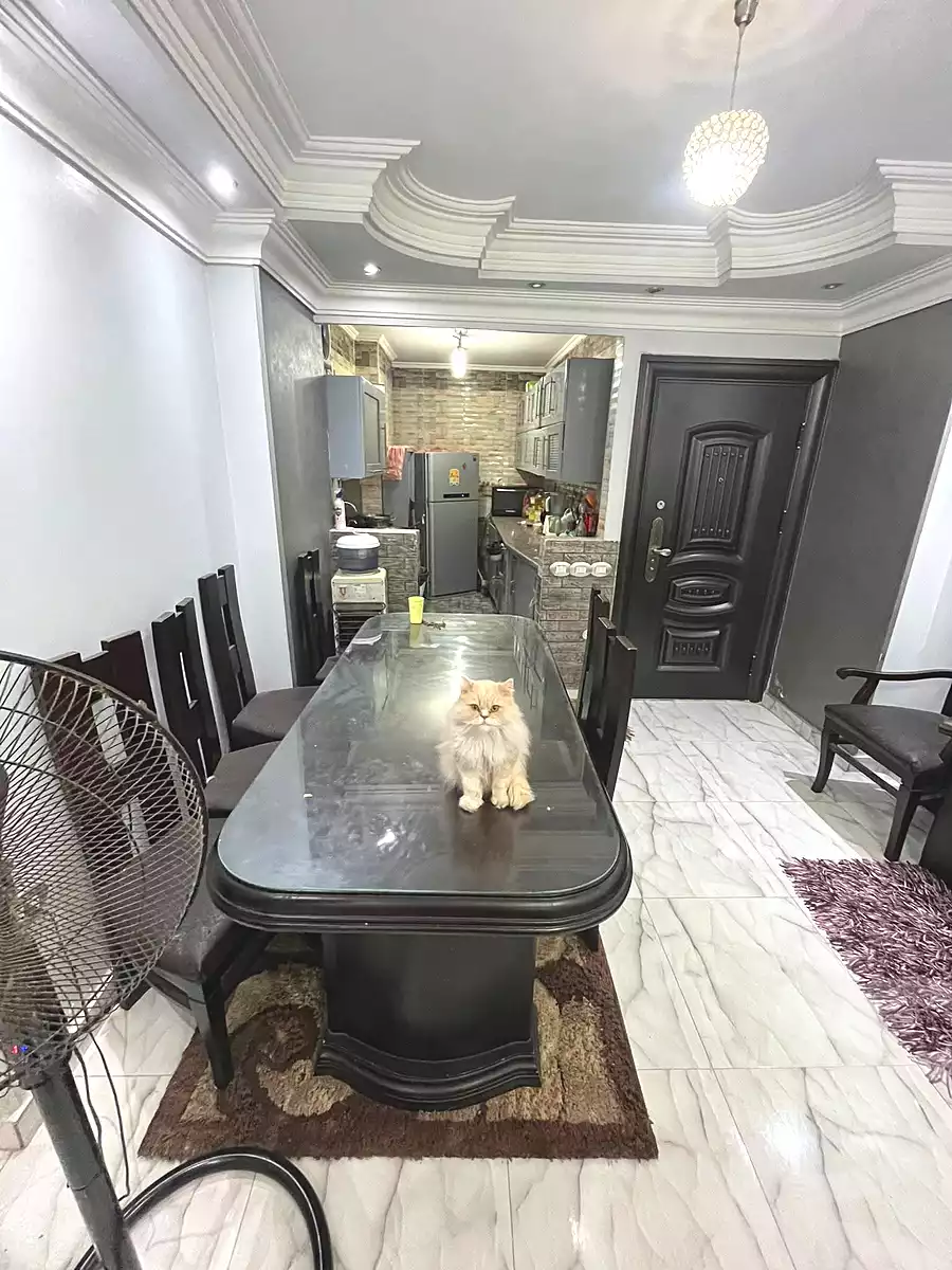 https://aqarmap.com.eg/ar/listing/6983382-for-sale-cairo-ain-shams-alf-maskn-ismail-el-fangari-st