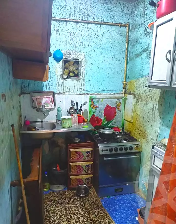https://aqarmap.com.eg/ar/listing/6984680-for-sale-alexandria-el-asafra-l-sfr-qbly