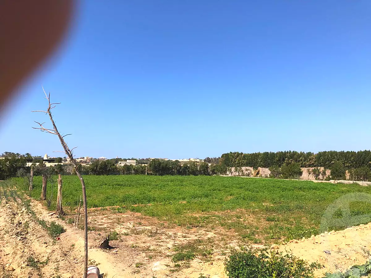 https://aqarmap.com.eg/ar/listing/6987017-for-sale-alexandria-borg-el-arab-el-zohour-st