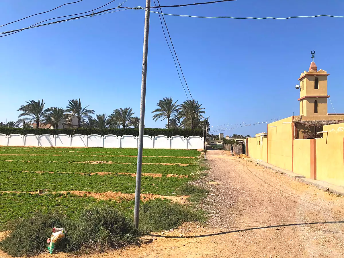 https://aqarmap.com.eg/ar/listing/6987017-for-sale-alexandria-borg-el-arab-el-zohour-st