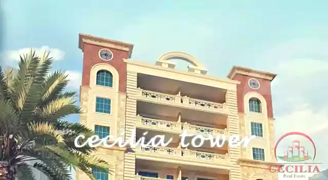 https://aqarmap.com.eg/en/listing/6987177-for-sale-cairo-dokki-mohey-el-din-abo-el-ezz