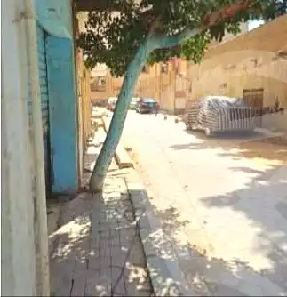 https://aqarmap.com.eg/en/listing/6991705-for-sale-cairo-el-zaytun-hlmy-lzytwn-shr-ly-bsh