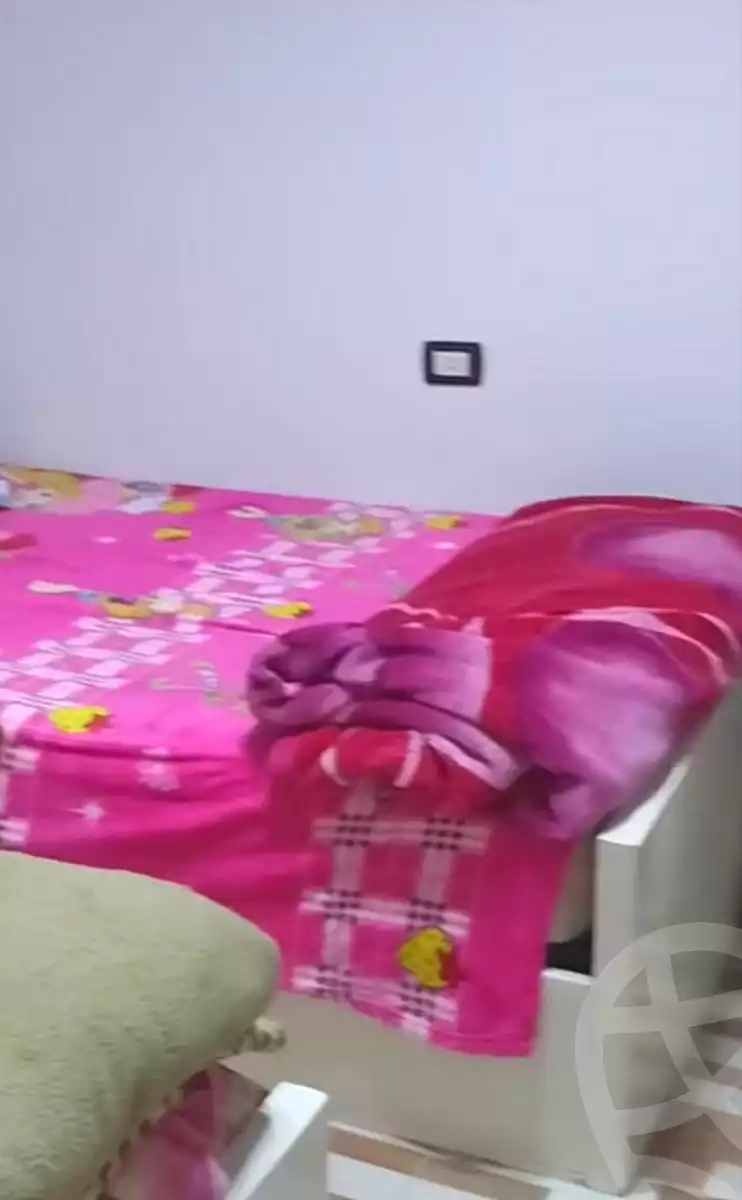 https://aqarmap.com.eg/en/listing/6993836-for-sale-cairo-ain-shams-el-naam-shahin-st