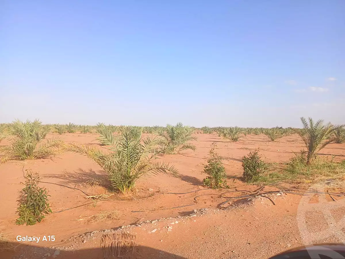 https://aqarmap.com.eg/en/listing/6994877-for-sale-new-valley-dakhla-oasis-mut