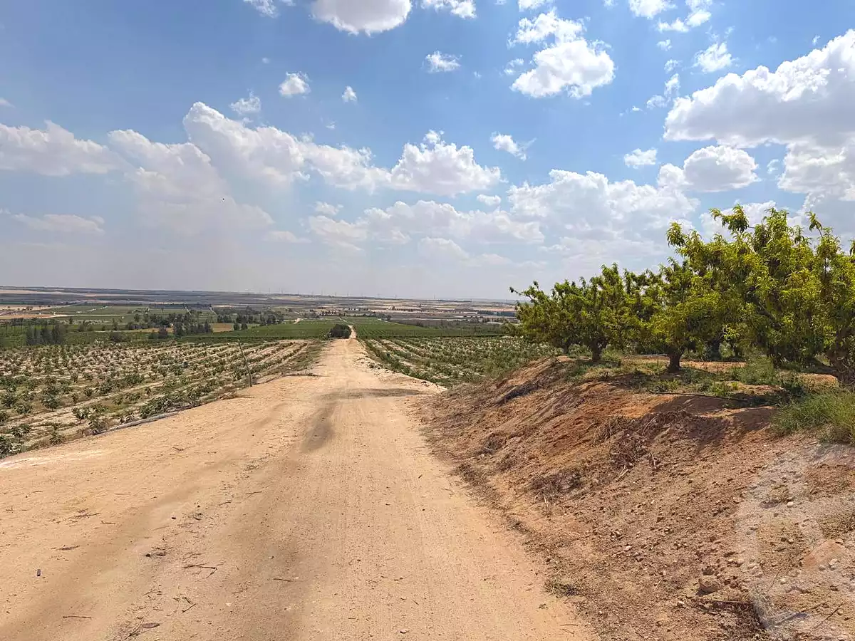 https://aqarmap.com.eg/ar/listing/6997255-for-sale-cairo-el-sheikh-zayed-city-alex-cairo-desert-road