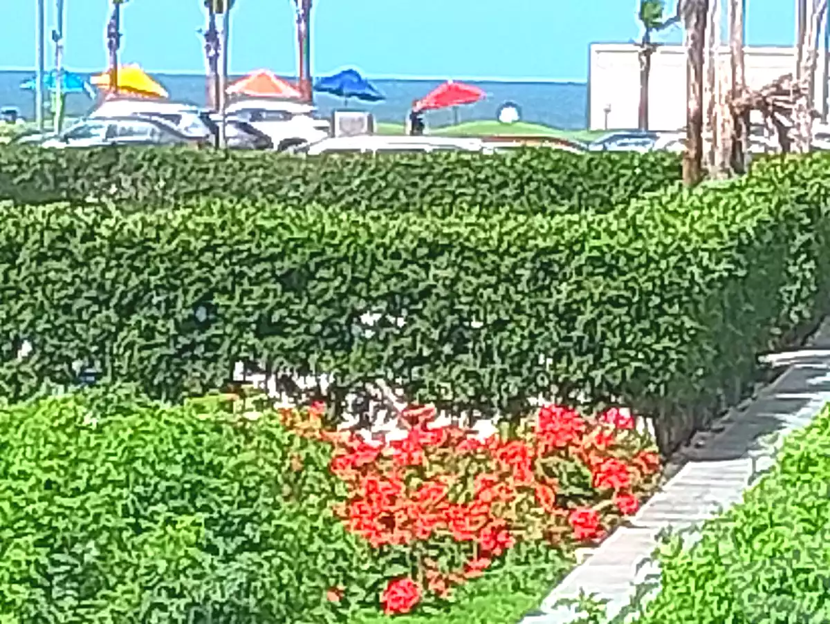 https://aqarmap.com.eg/ar/listing/7001025-for-rent-port-said-kmbwnd-fy-bwr-s-yd-porto-said-compound-amer-group