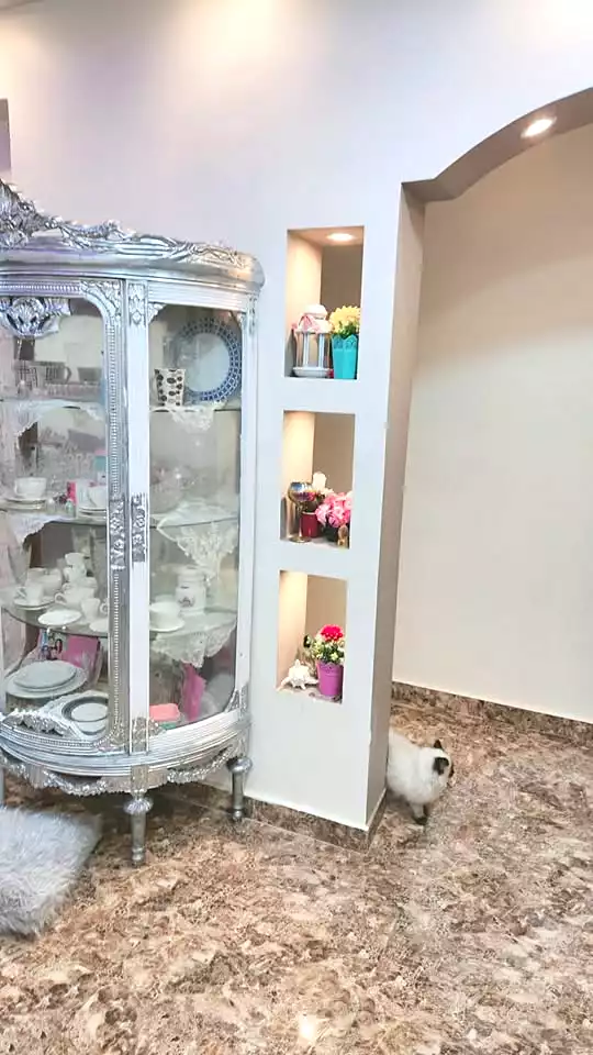 https://aqarmap.com.eg/ar/listing/7007345-for-sale-alexandria-al-agamy-lbytsh-shahr-al-assal-st