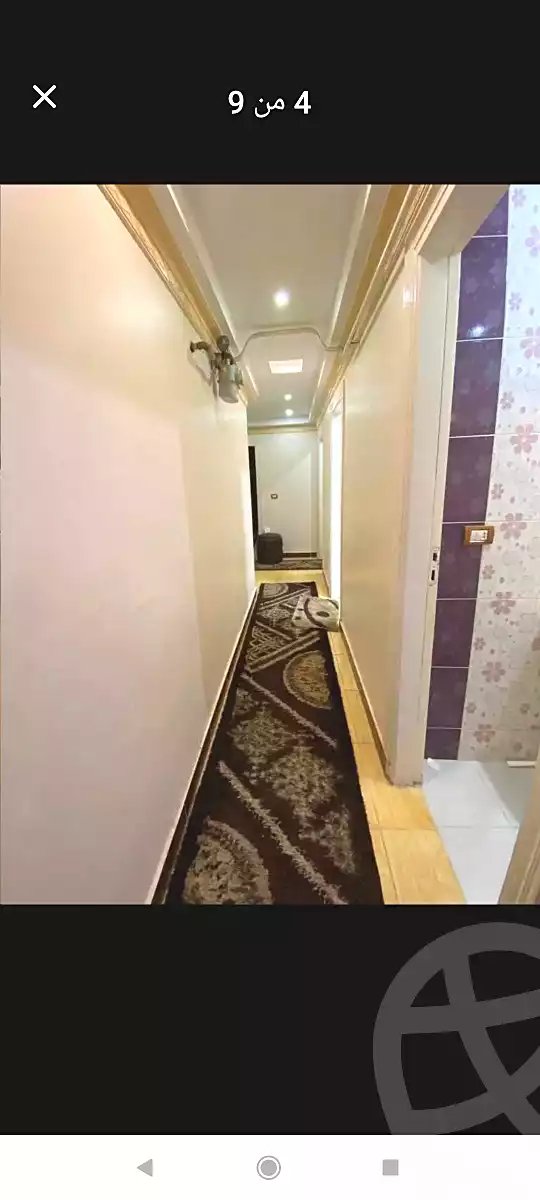 https://aqarmap.com.eg/ar/listing/7009677-for-rent-alexandria-al-agamy-lbytsh