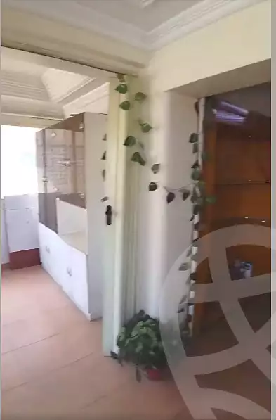 https://aqarmap.com.eg/en/listing/7010449-for-rent-cairo-ain-shams-jsr-lswys