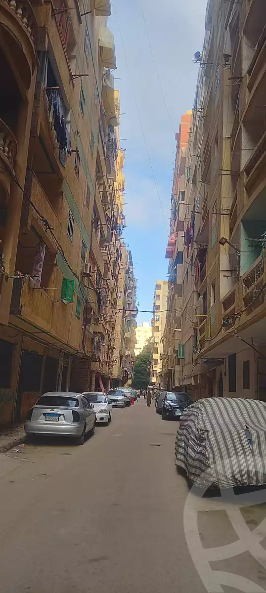 https://aqarmap.com.eg/ar/listing/7010881-for-sale-alexandria-al-agamy-lbytsh-khalil-ballw-st