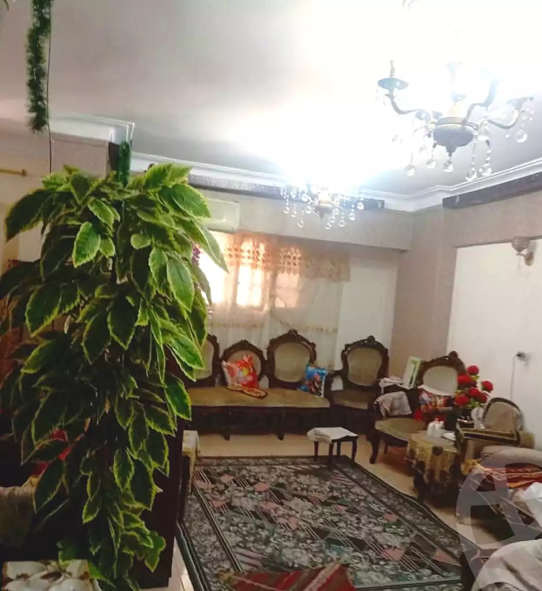 https://aqarmap.com.eg/en/listing/7011742-for-sale-alexandria-sydy-bshr-sydy-bshr-bhry