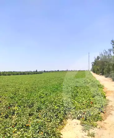 https://aqarmap.com.eg/en/listing/7011974-for-sale-alexandria-cairo-alexandria-desert-road