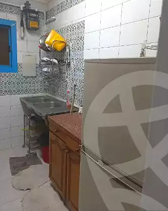 https://aqarmap.com.eg/en/listing/7012951-for-rent-cairo-manial