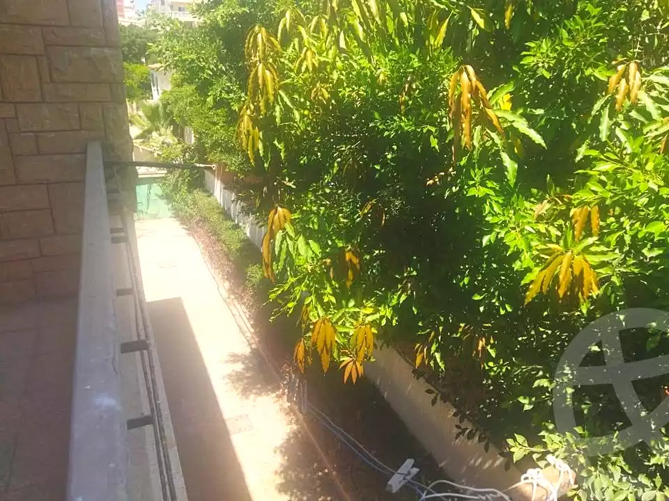 https://aqarmap.com.eg/en/listing/7016166-for-sale-alexandria-al-agamy-bw-ywsf