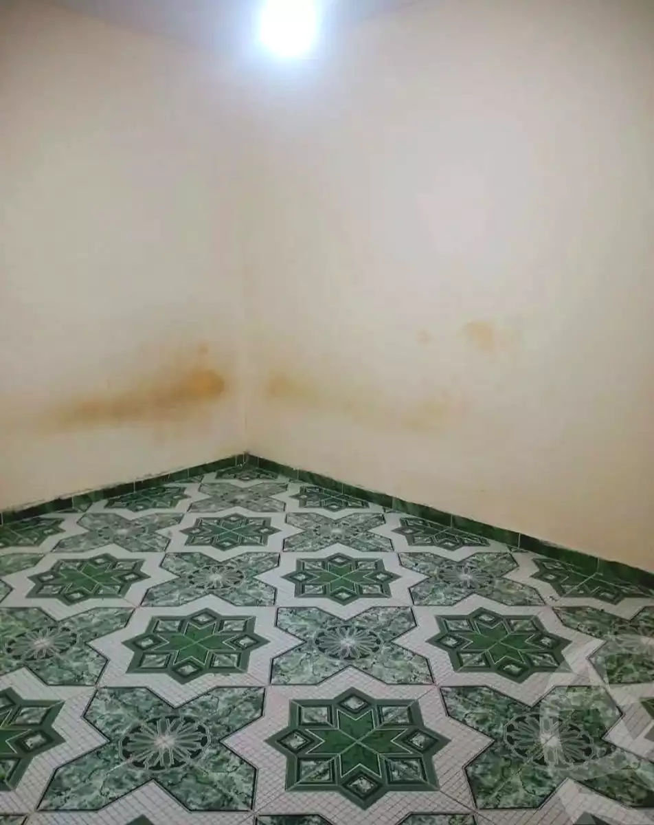 https://aqarmap.com.eg/en/listing/7016242-for-rent-alexandria-sydy-bshr-sydy-bshr-bhry
