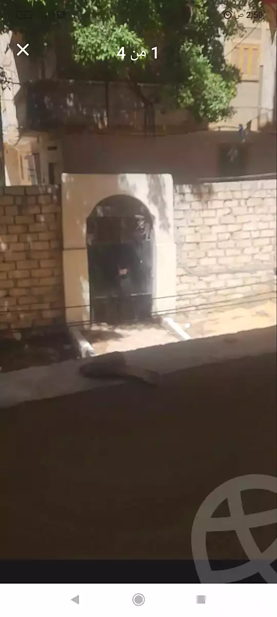 https://aqarmap.com.eg/en/listing/7019037-for-rent-alexandria-al-agamy-el-hanouvel