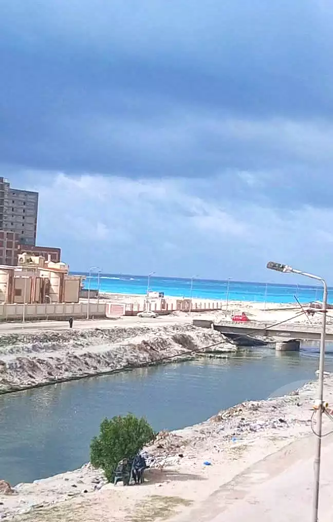 https://aqarmap.com.eg/en/listing/7019721-for-sale-alexandria-al-agamy-el-kilo-21