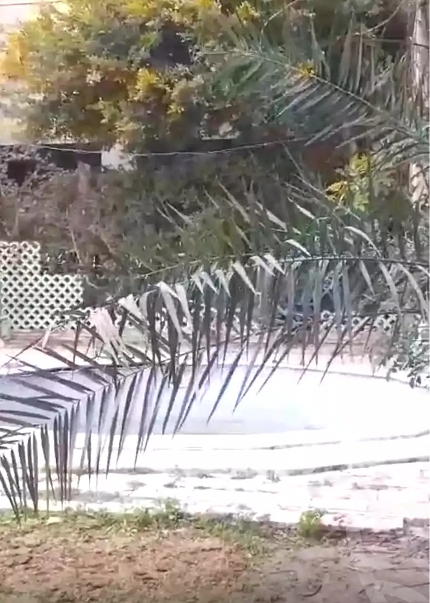 https://aqarmap.com.eg/en/listing/7023907-for-sale-alexandria-al-agamy-lbytsh-bianchiii