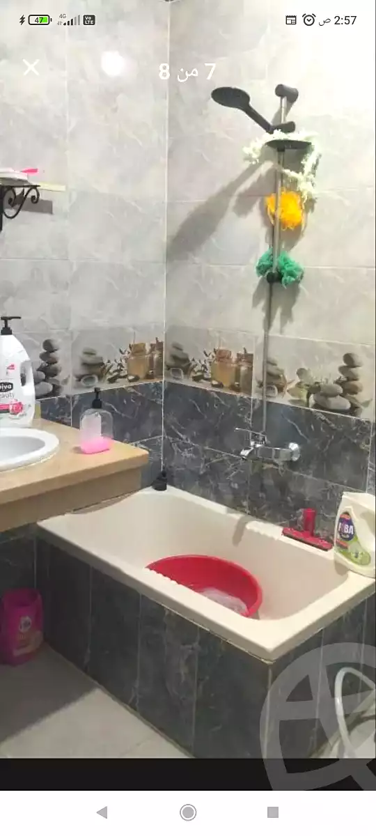 https://aqarmap.com.eg/ar/listing/7024563-for-sale-alexandria-al-agamy-el-hanouvel-al-komi-st-el-hanouvel
