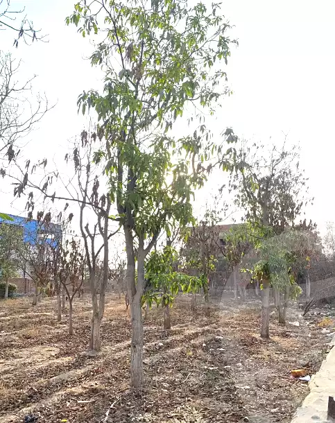https://aqarmap.com.eg/ar/listing/7026408-for-sale-ismailia-ismailia-city