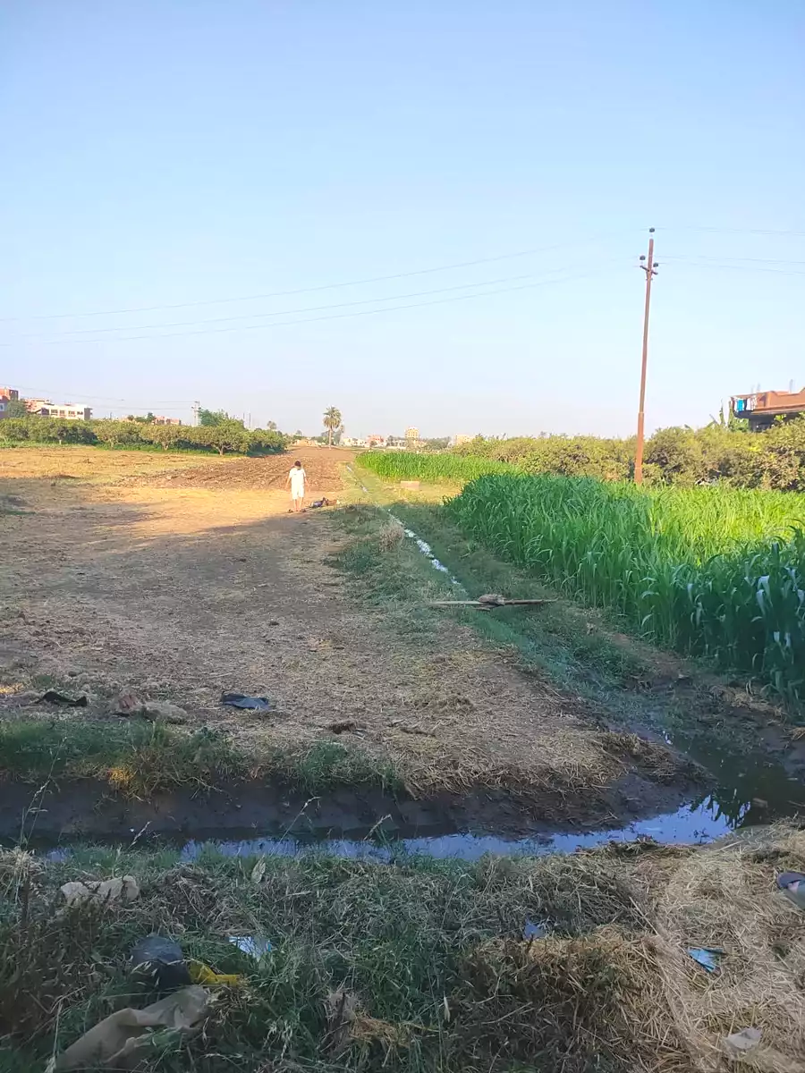 https://aqarmap.com.eg/en/listing/7026594-for-sale-qalyubia-tokh-el-sfaina