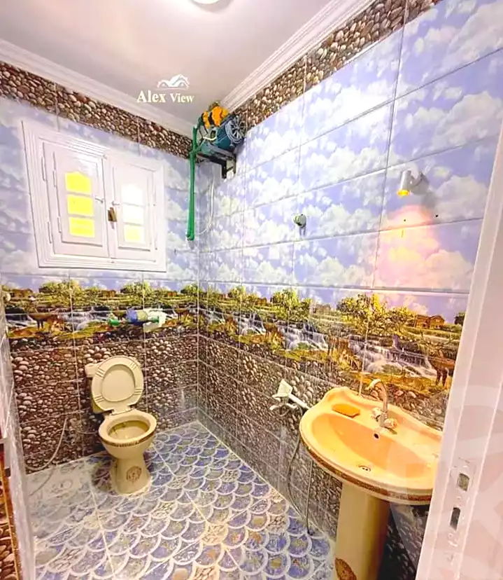 https://aqarmap.com.eg/ar/listing/7027234-for-sale-alexandria-el-mandara-alex-el-mandara-bahri