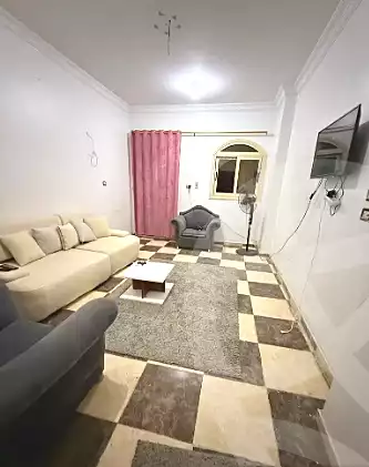 https://aqarmap.com.eg/en/listing/7028288-for-rent-sharqia-zagazig-zagazig-city-ghasham-rd