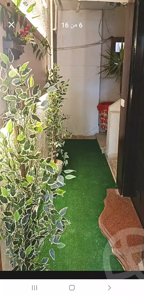 https://aqarmap.com.eg/en/listing/7028632-for-rent-alexandria-el-asafra-l-sfr-bhry