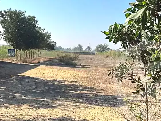 https://aqarmap.com.eg/ar/listing/7030625-for-sale-el-fayoum-yousef-el-sedeeq-karoun