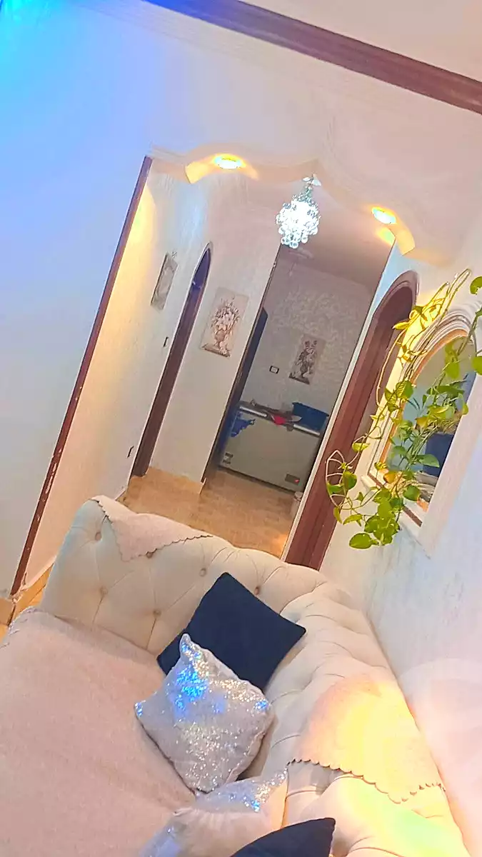 https://aqarmap.com.eg/ar/listing/7034033-for-sale-cairo-ain-shams-jsr-lswys-gamal-abd-el-naser-st