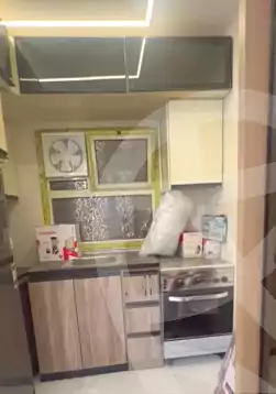 https://aqarmap.com.eg/en/listing/7035575-for-rent-cairo-manial