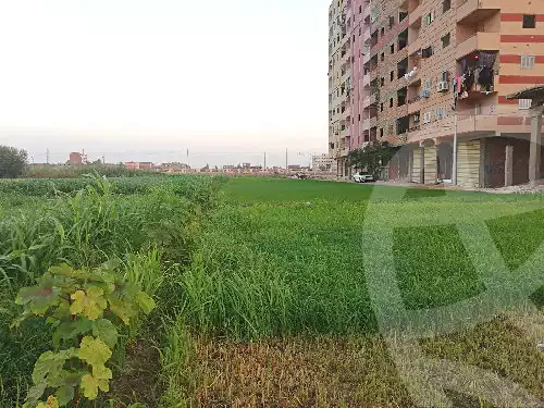 https://aqarmap.com.eg/ar/listing/7036967-for-sale-kafr-el-sheikh-metoubes-mutubas-city