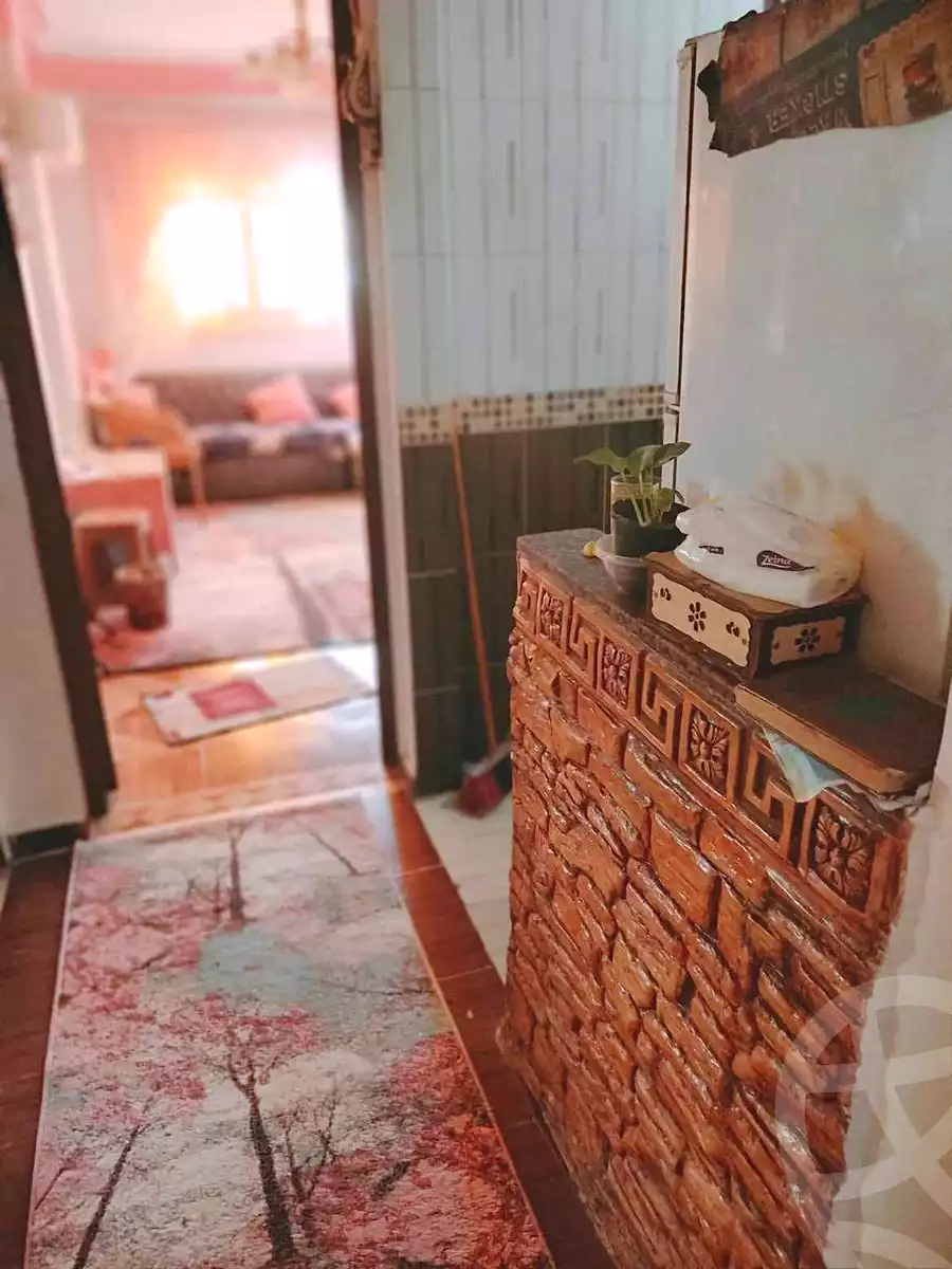 https://aqarmap.com.eg/en/listing/7039878-for-sale-alexandria-al-agamy-el-hanouvel-radwan-st