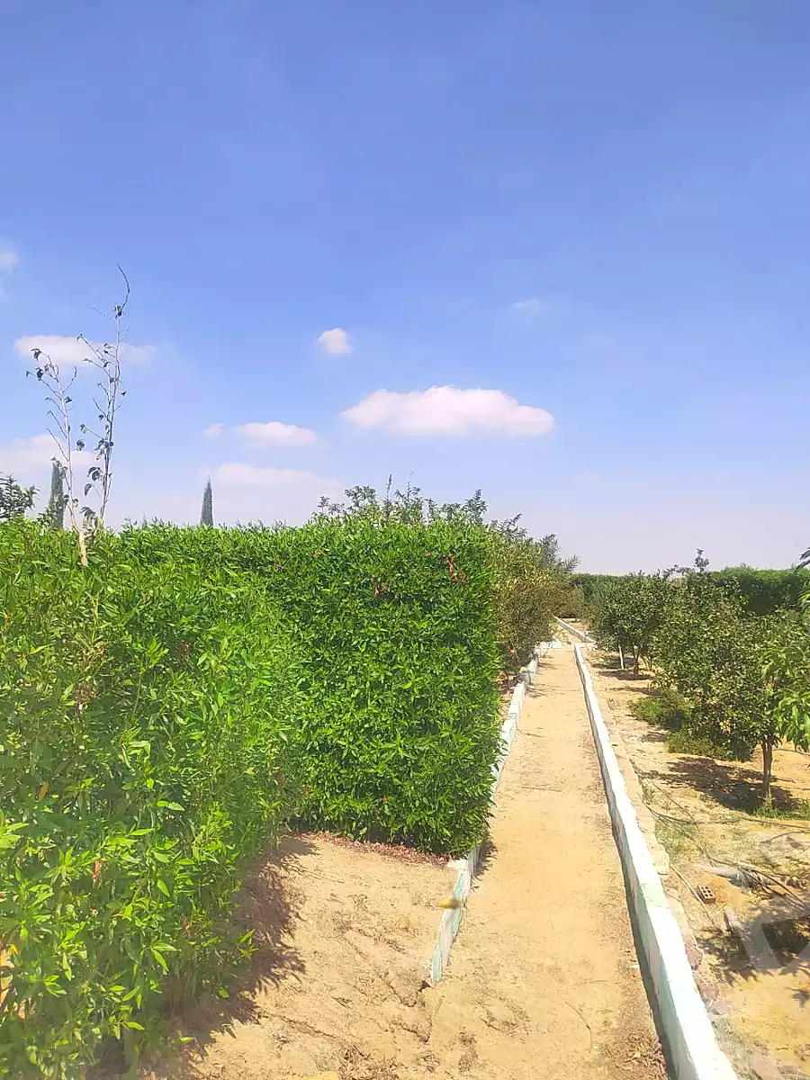 https://aqarmap.com.eg/en/listing/7043023-for-sale-el-fayoum-asyut-rd