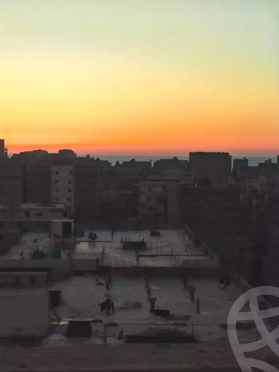 https://aqarmap.com.eg/ar/listing/7046058-for-sale-alexandria-al-agamy-el-hanouvel-kasr-al-quiri-st-1