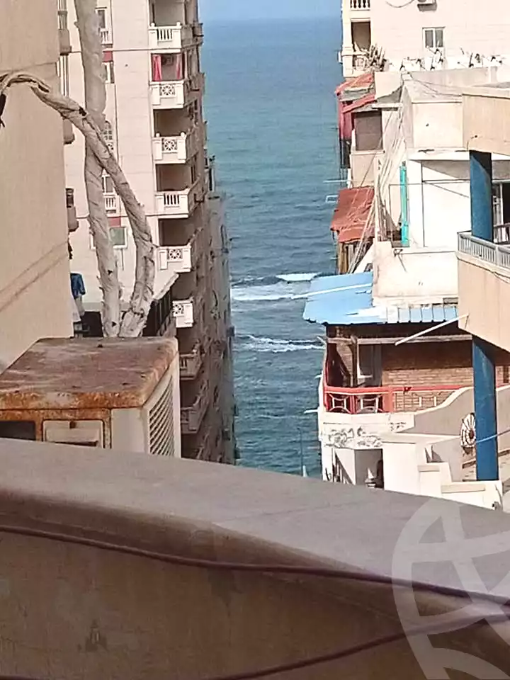 https://aqarmap.com.eg/en/listing/7049572-for-sale-alexandria-el-asafra-l-sfr-bhry