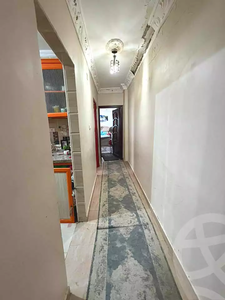 https://aqarmap.com.eg/ar/listing/7049850-for-sale-alexandria-lsywf-el-falki-street-16-el-eslah