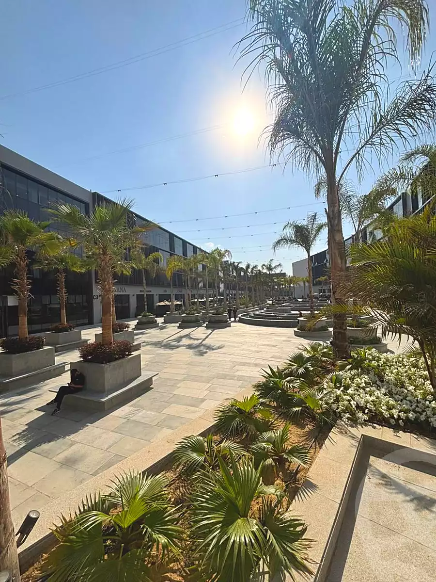 https://aqarmap.com.eg/en/listing/7049908-for-rent-cairo-new-cairo-compounds-lakeview-residence