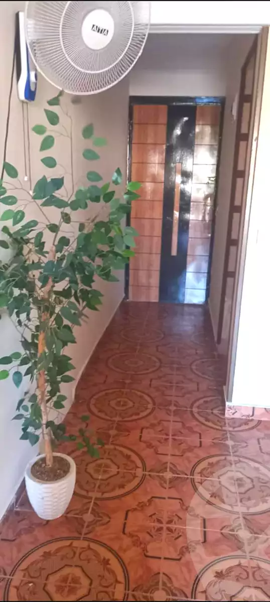 https://aqarmap.com.eg/ar/listing/7042612-for-rent-alexandria-al-agamy-lbytsh